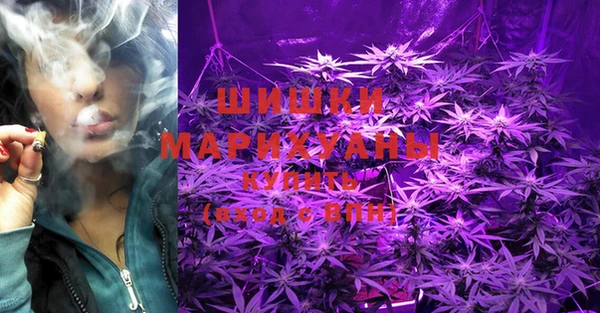 ГАЛЛЮЦИНОГЕННЫЕ ГРИБЫ Наволоки