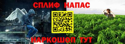 сатива Краснознаменск