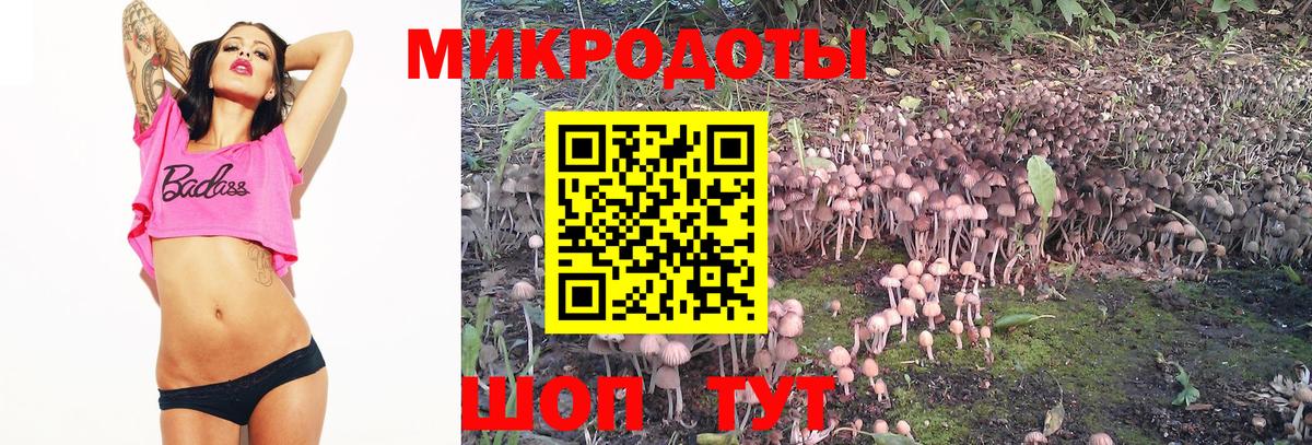 Псилоцибиновые грибы прущие грибы Чернушка
