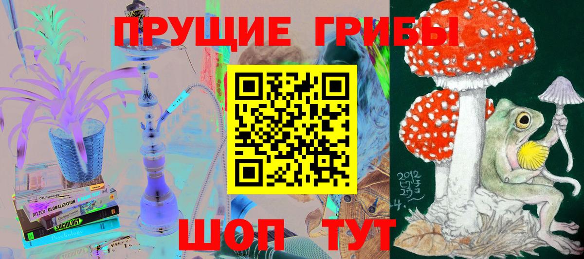 Чернушка  Галлюциногенные грибы мицелий  продажа наркотиков  Галлюциногенные грибы ЛСД  Вход с VPN 