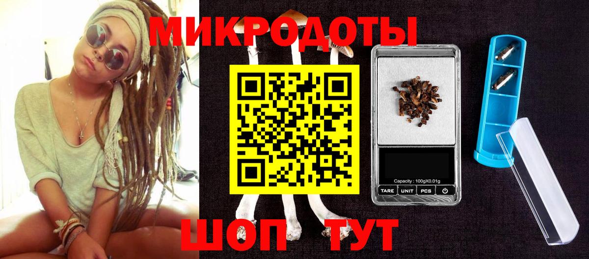 Псилоцибиновые грибы Psilocybe Чернушка