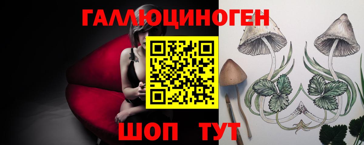 Галлюциногенные грибы Magic Shrooms  Чернушка  Псилоцибиновые грибы мухоморы 